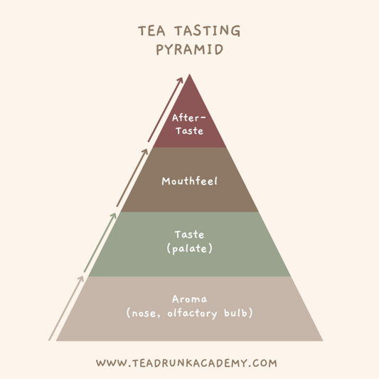 The Tea Tasting Pyramid