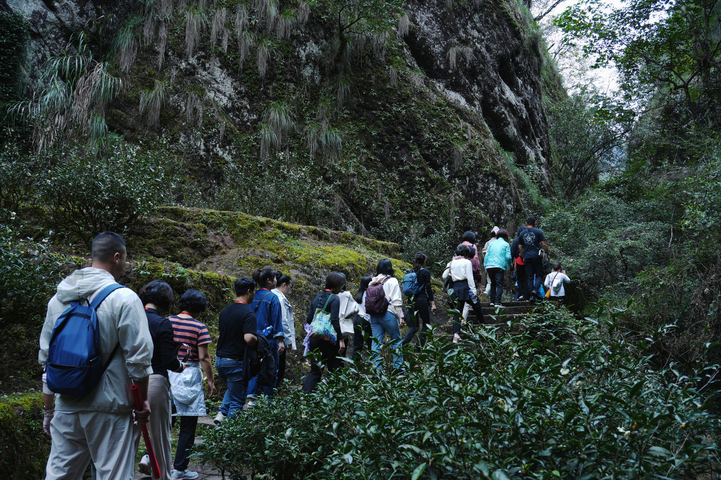 Educational Tea Tour - Wu Yi Shan