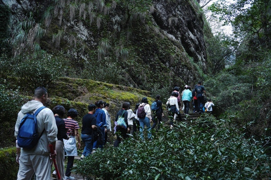 Educational Tea Tour - Wu Yi Shan