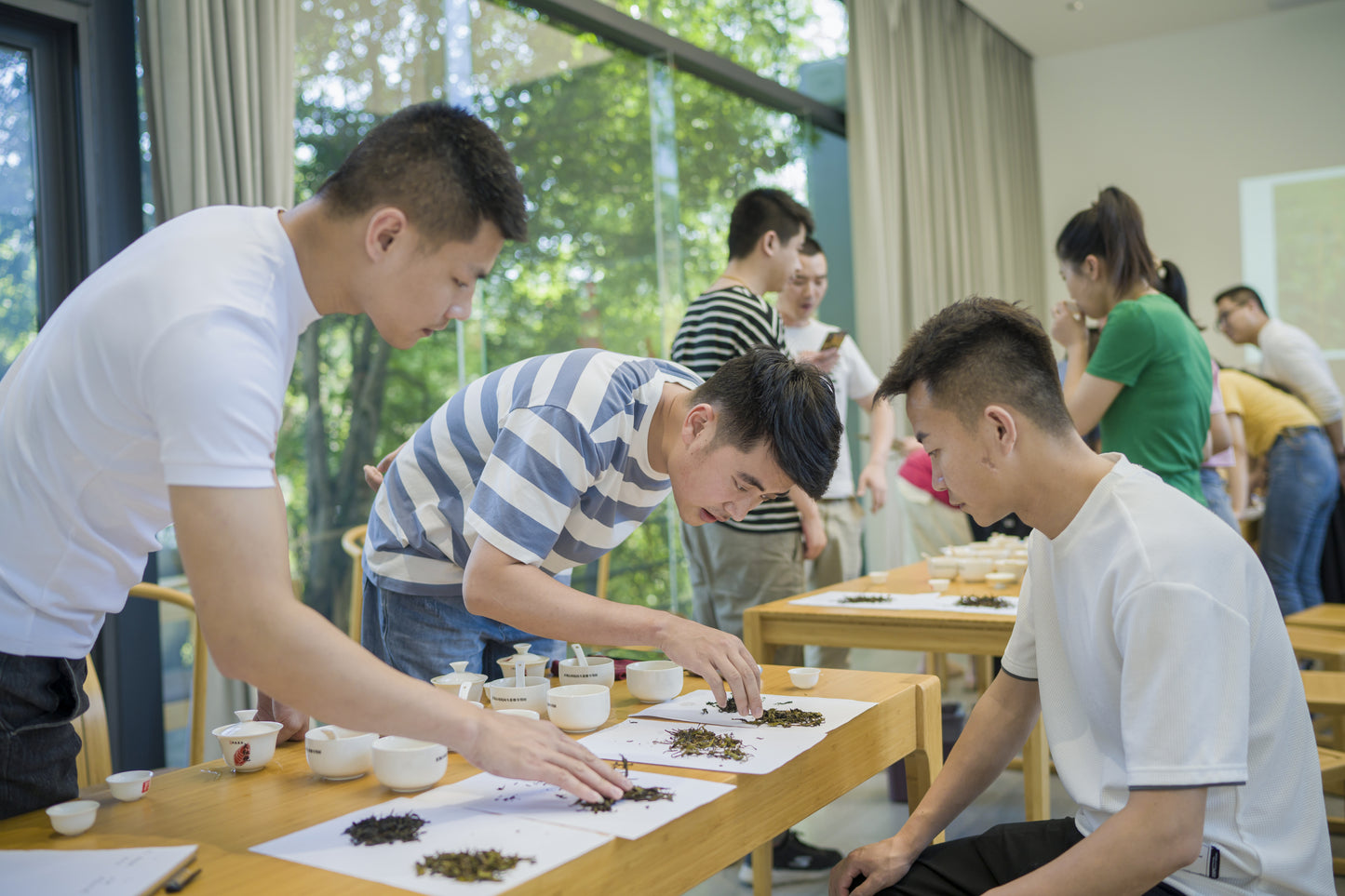 Educational Tea Tour - Wu Yi Shan