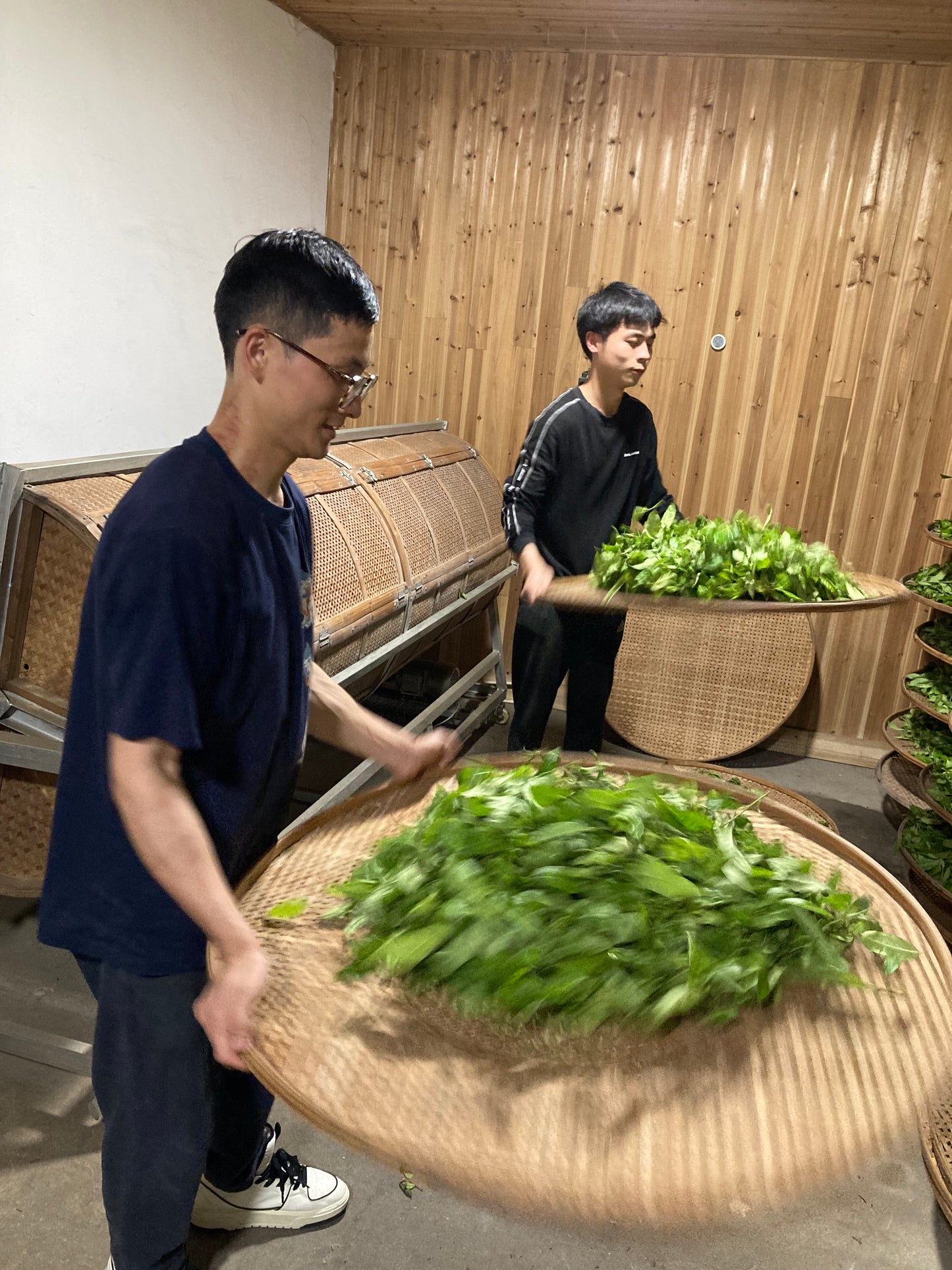 Educational Tea Tour - Wu Yi Shan