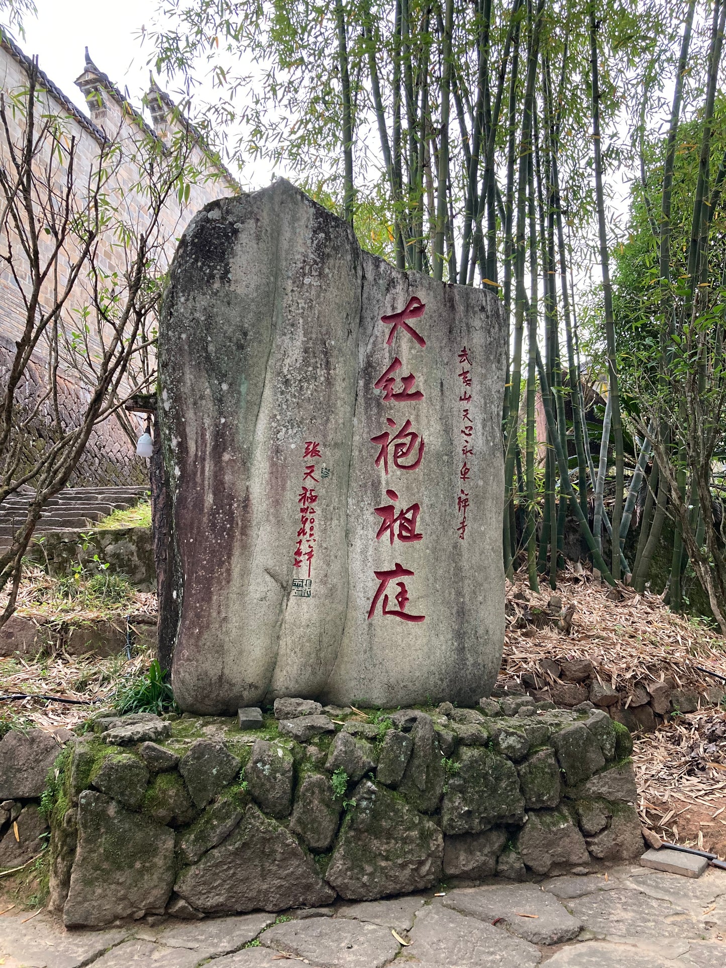 Educational Tea Tour - Wu Yi Shan