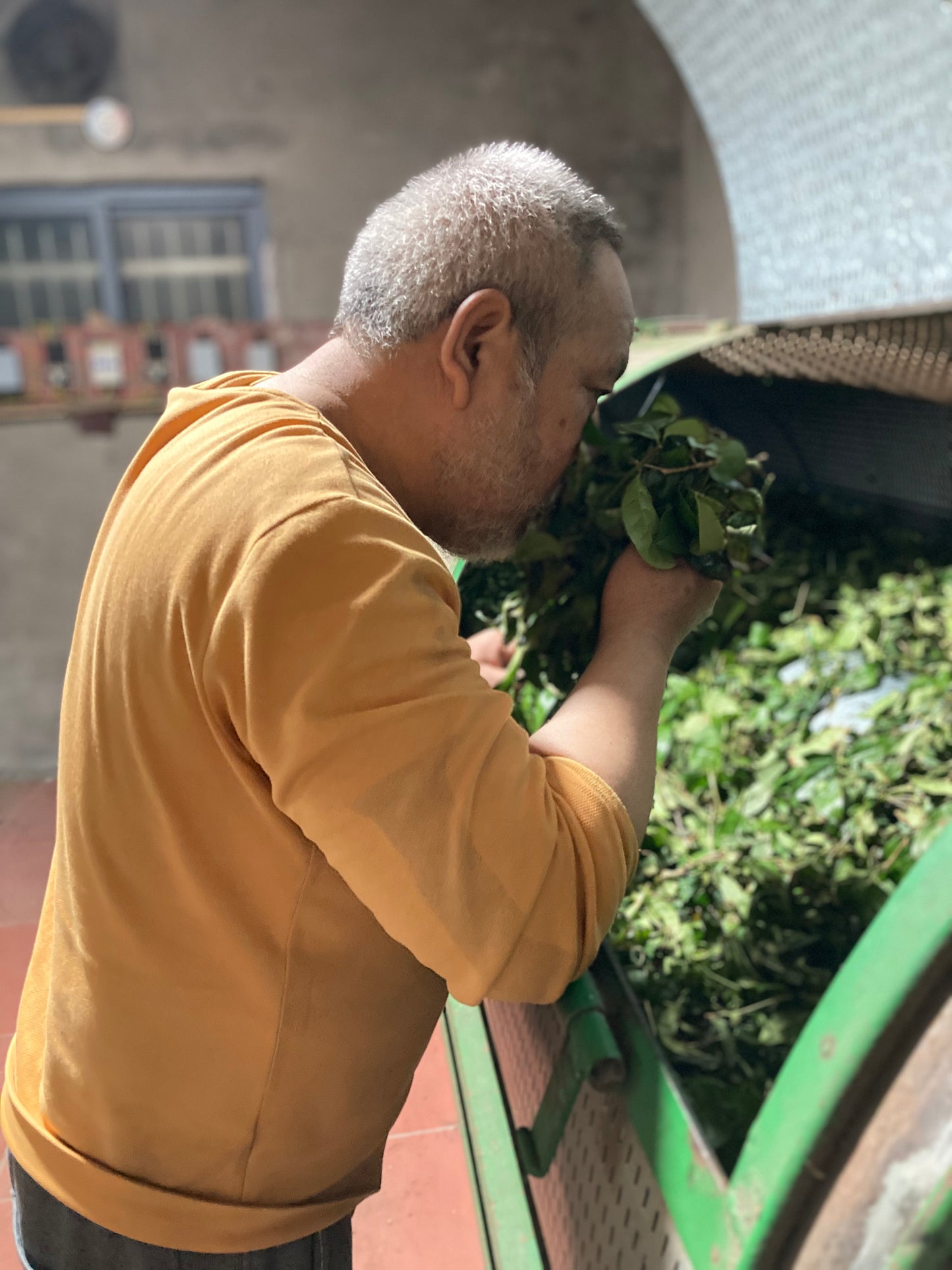 Educational Tea Tour - Wu Yi Shan