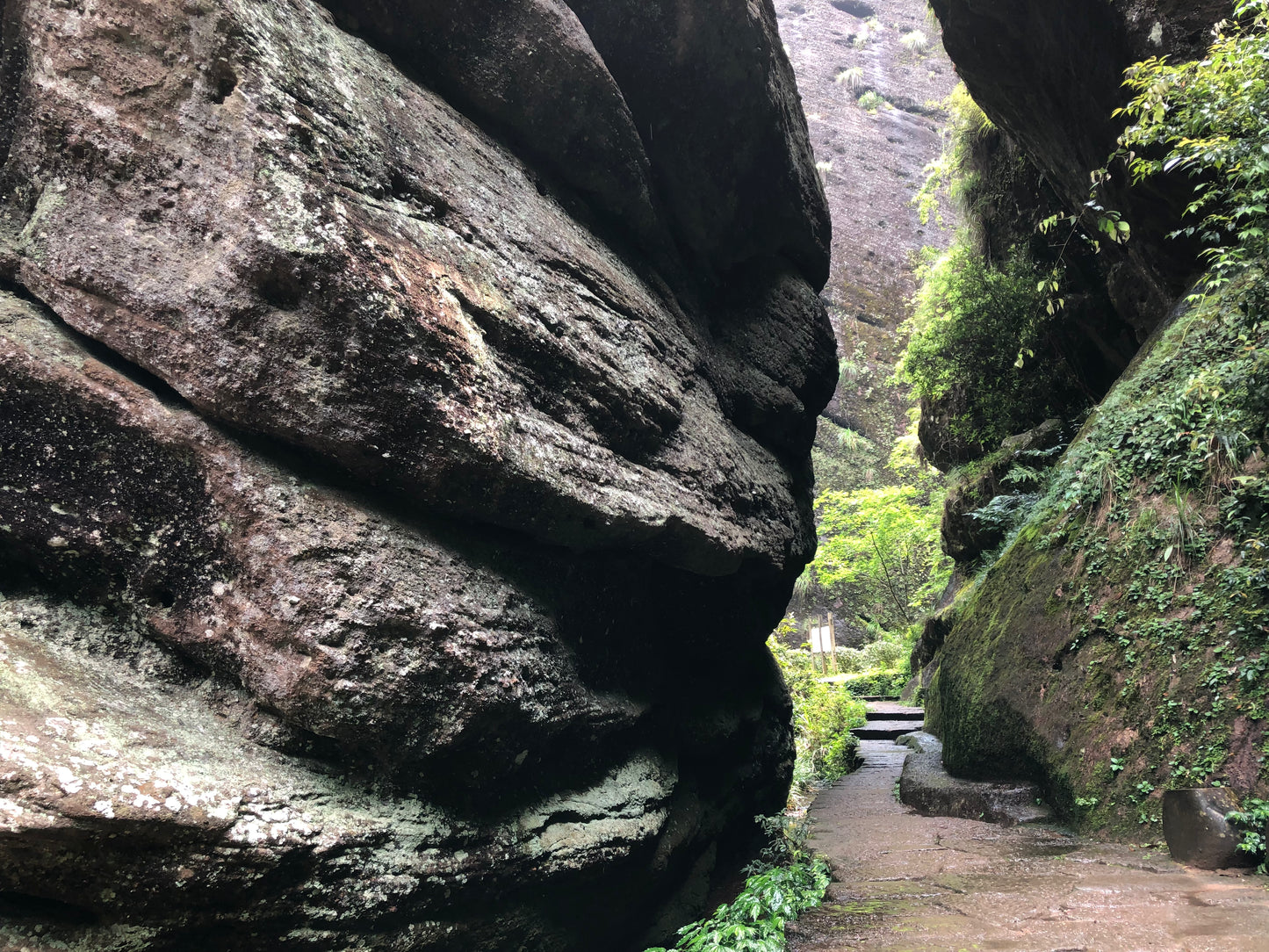 Educational Tea Tour - Wu Yi Shan